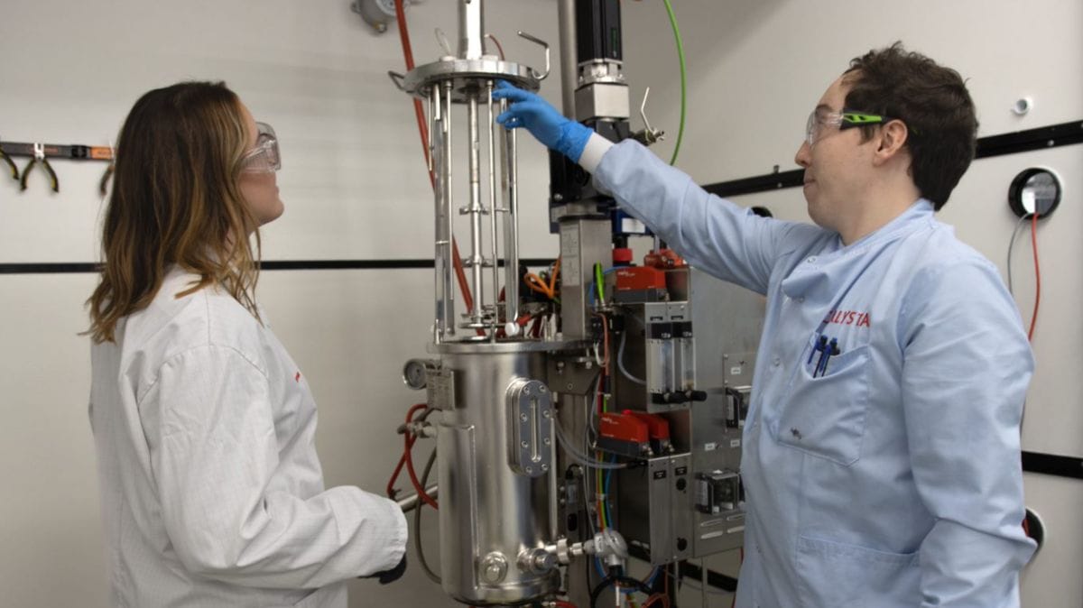 Degree apprenticeships