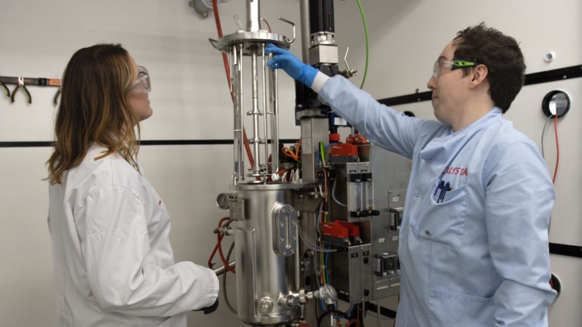 Degree apprenticeships
